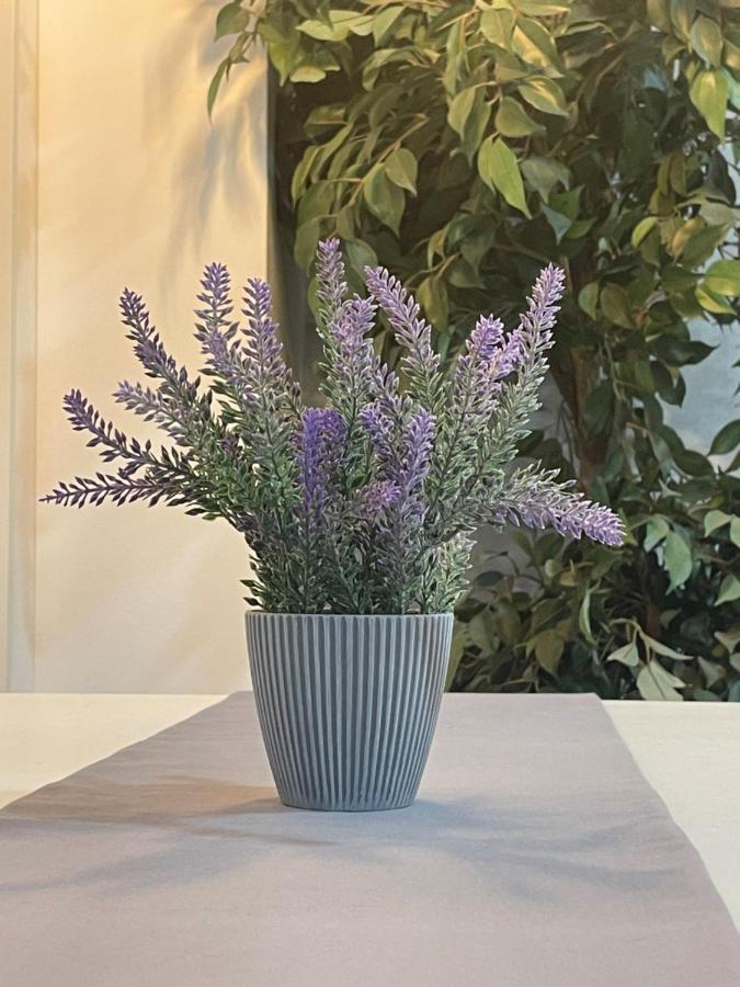 Apartamento Banferra Χέρεζ Εξωτερικό φωτογραφία
